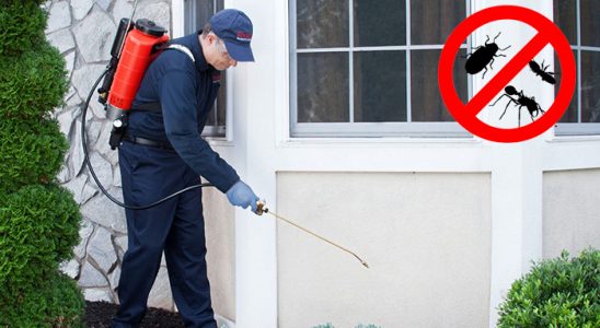 Esenler Karınca İlaçlama böcek ilaçlama ve haşere kontrolü — ilaclama-tr.com